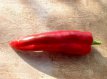Hot Pepper Cowhorn 10 seeds TessGruun
