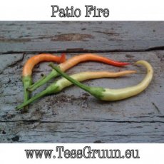 Hot Pepper Patio Fire 10 seeds TessGruun
