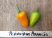 Hot Pepper Peruviano Arancio 10 seeds TessGruun