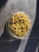 Haricot Mung BIO 'Vigna Radiata' "pousses de soja" ou "germes de soja" Graines à germer (20g) TessGruun