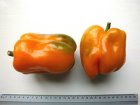 ZPATGORBE Sweet pepper Orange Bell 10 seeds TessGruun