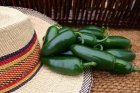 Peper Jalapeño 10 zaden TessGruun (hete peper)