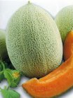Meloen Hales Best Jumbo 10 grains TessGruun