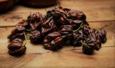 Verse Trinidad Scorpion Chocolate, 200 gram (+/- 32 pepers)