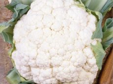 Cauliflower Alpha 7 TessGruun