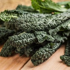 ZKOTPNEDITO Borecole Kale Curly Nero di Toscana Black Tuscany TessGruun