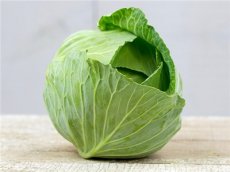 Brunswick Cabbage TessGruun