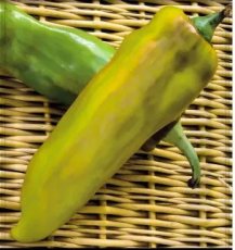 Paprika Amarillo Ros de Mallorca 10 zaden TessGruun