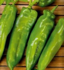 Paprika Cristal de Freir 10 zaden TessGruun