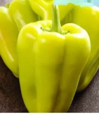 Paprika Peleus 10 zaden TessGruun