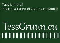 Paprika Giallo di Cuneo 10 zaden TessGruun