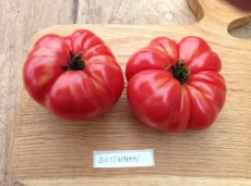Tomatenzaden pakket: 20 soorten unieke heirloom tomaten (10 zaden per soort)