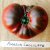 Tomatenzaden pakket 10 soorten unieke heirloom tomaten  20 zaden per soort