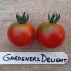 Tomatenzaden pakket 10 soorten unieke heirloom tomaten  20 zaden per soort