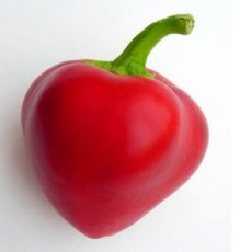 Paprika Herzje 10 zaden TessGruun