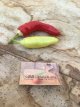 ZPETGAJCR Piment Aji Cristal 5 graines