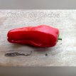 ZPATGCRDCO Sweet Pepper Criolla de Cocina 10 seeds TessGruun