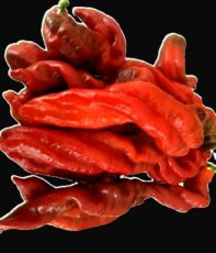 Hot Pepper Hangjiao 9  Big Bang Space pepper 5 seeds