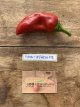 Chili Goria - Piment d"Espelette 10 samen TessGruun