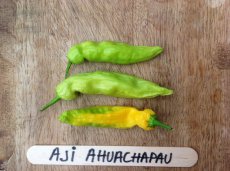 Chile Aji Ahuachápau 10 semillas TessGruun