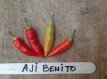 ZPETGAJBE Hot Pepper Aji Benito 5 seeds TessGruun