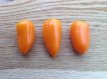 ZPPTWORA Pimiento Snack Orangina Naranja 10 semillas TessGruun