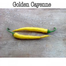 ZPETGGOCA Peper Golden Cayenne 10 zaden TessGruun hete peper