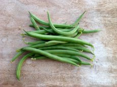 Dwarf Green Bean Sprite – 10 seeds TessGruun