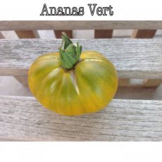 ZTOTGANVE10 Tomate Ananas Verte 10 semillas TessGruun