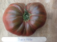 ZTOTGBLKRBIO Tomato Black Krim 10 seeds ORGANIC TessGruun
