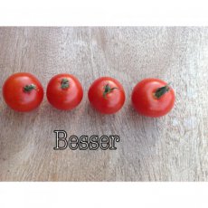 ZTOTGBE Tomaat Besser 10 zaden TessGruun