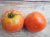 ZTOTGAONS Tomato Apple Of Novi Sad 10 seeds TessGruun