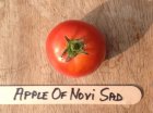 ZTOTGAONS Tomate Apple Of Novi Sad 10 semillas TessGruun