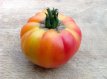 ZTOTGBUFA Tomate Burrackers Favorite 10 graines TessGruun