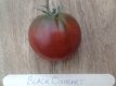 ZTOTGBLOX Tomate Black Oxheart 5 graines TessGruun