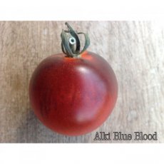 ZTOTGALBLBL Tomate Alki Blue Blood 10 graines TessGruun
