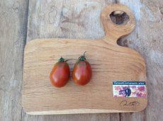 ZTOTGANNO Tomate Andine Noire / Andine Negro 10 semillas TessGruun