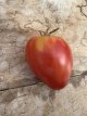 ZTOTGANRU Tomate Anna Russian 10 SamenTessGruun