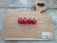 ZTOTGANTR Tomato Anmore Treasures 10 seeds TessGruun