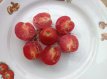 ZTOTGARB Tomate Arbumiranda 10 graines TessGruun