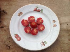 ZTOTGARB Tomate Arbumiranda 10 semillas TessGruun