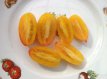 ZTOTGARBLTI Tomate Artisan Blush Tiger 10 graines TessGruun