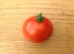 ZTOTGAV Tomate Aviuri 10 graines TessGruun
