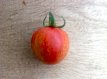 ZTOTGAV Tomate Aviuri 10 graines TessGruun