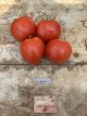 Tomato Ballada 10 seeds TessGruun