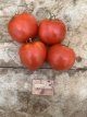 Tomato Ballada 10 seeds TessGruun