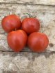 Tomato Ballada 10 seeds TessGruun