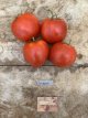Tomato Ballada 10 seeds TessGruun