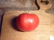 ZTOTGBERO Tomate Belle Rousse 10 semillas TessGruun