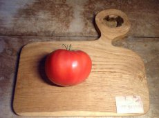 ZTOTGBERO Tomate Belle Rousse 10 semillas TessGruun